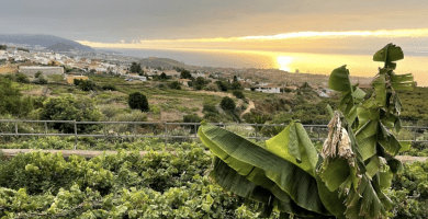 Guachinches La Orotava